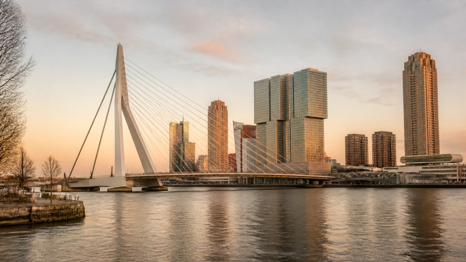 herkenbaar stadsbeeld van rotterdam: moderne skyline met de Erasmusbrug in zacht avondlicht; warme editorial-stijl, geen close-ups van personen
